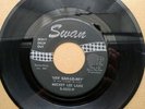 Rare original northern soul single Mickey Lee Lane  