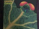 CATAPILLA 'Changes' LP die-cut cover