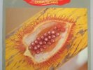DUDA NEVES - 