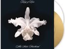 Kings of Leon “Aha Shake Heartbreak