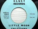 THE VISIONS strong VG++ original ELGEY 45 LITTLE MOON b/w TEENAGER's LIFE  PC211