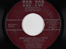 Funk/Sweet Soul 45 - James Lewis Fields - How Long Shall I Wait - Top Pop - VG+