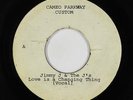 Northern Soul Acetate 45 - Jimmy J & The J's - Love Is A Changing Thing - mp3
