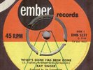 RAY SINGER**WHAT'S DONE HAS BEEN DONE**DEMO**DANCER**EMBER**HEAR IT