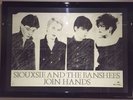 FRAMED SIOUXSIE & THE BANSHEES 1979 JOIN HANDS PROMO POSTER FRAMED