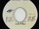 Horace Andy 