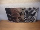 Kin Ping Meh 2, Krautrock original german 1st.Press Zebra 1972 Mint
