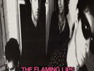 THE FLAMING LIPS - IN A PRIEST DRIVEN AMBULANCE - NEW VINYL LP