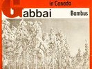 Elisa Gabbai / Rolf Hurdelhey ?– Winter In Canada / Bambus 45 single 7