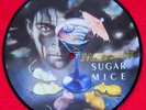 Marillion   Picture Disc Record  7