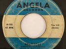 Angie & The Citations Headache Rare PA Garage Rock Surf Instro Angela Record 45