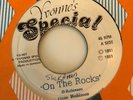 REGGAE ROOTS Dave Robinson 'on the rocks' ja