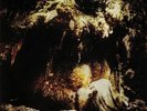 WOLVES IN THE THRONE ROOM - Celestial Lineage (reissue) - Vinyl (gatefold 2xLP)