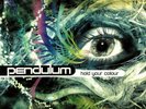 PENDULUM - Hold Your Colour - Vinyl (3xLP) 2018 VERSION
