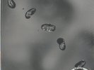 Peter Gabriel, Up Promo 200g (New Profile) 2LP from the Michael Hobson Archives