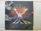 Nyl-Nyl 1976 France Urus 013 ARCHIVE MINT M x-Ame Sons + Daevid Allen early Gong