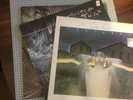 Cocteau Twins LP Bundle - Garlands, Head Over Heels, Treasure