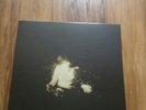 Wolf Alice Vinyl box set (Super Limited)