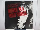NICK DRAKE / HEAVEN IN A WILD FLOWER, RARE UK ORIG. ISLAND LP PSYCH FOLK EX
