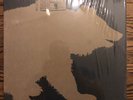 THIS WILL DESTROY YOU - Young Mountain LP Colored Vinyl POST ROCK - GREAT ALBUM