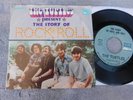 The Turtles  - The Story Of Rock And Roll/Can't You.. -  US Picture Sleeve PS 7