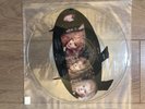 2 RARE UNCUT SHAPES Pic Disc Vixen Great White Kiss Iron Maiden