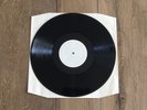 Walter Schreifels An Open Letter To The Scene Test Pressing Gorilla Biscuits