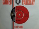 ORLONS, DON'T HANG UP / THE CONSERVATIVE, CAMEO PARKWAY 7INCH 45RPM