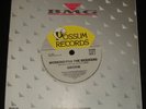 SMOKIE RARE  AUSSIE 45 ON POSSUM - MY HEART IS TRUE  - 1980s POP