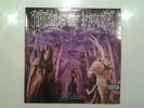 Rare - vinyle Cradle of Filth - Midian - 2 LP