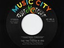 Sweet Soul/Funk 45 - Two Things In One - Together Forever - Music City VG++ mp3