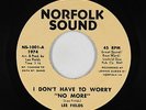 Deep Soul/Funk 45 - Lee Fields - I Don't Have To Worry - Norfolk Sound - NM mp3