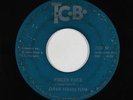 Funk Jazz 45 - Dave Hamilton - Pisces Pace - TCB - mp3 - rare