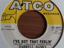 Northern Soul - Darrell Banks - I've Got That Feeling - US