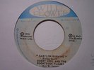 BOBBY SOUL Babylon Burning WILD FLOWER Roots Reggae 7
