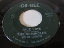 THE SEMINOLES DETROIT  NORTHERN  SOUL 45 GO-GEE LBL  OPEN YOUR EYES / TRUE LOVE