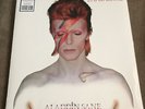 DAVID BOWIE ALADDIN SANE 45TH ANNIVERSARY VERY LTD SILVER 180G VINYL NEW SEALED