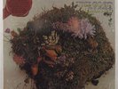 MANFRED MANN'S EARTH BAND The Good Earth WARNER BROS BS 2826 LP SEALED