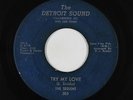 Northern Soul 45 - Sequins - Try My Love - The Detroit Sound - mp3 - rare