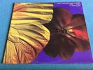 Twinkle Brothers  PRAISE JAH South African vinyl LP Virgin in Mint Condition