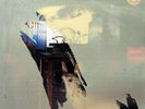 MIDNIGHT OIL Species Deceases + Outer Bag 12