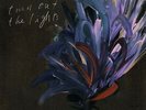 Julien Baker Turn Out The Lights Indies Clear Vinyl LP Brand New 2017