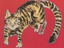 SHIMIZU, Yasuaki - Kakashi (reissue) - Vinyl (LP + insert)