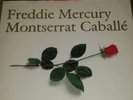 FREDDIE MERCURY, QUEEN, How Can I Go On 12