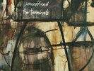 The Terminals UNCOFFINED Australian FLYING NUN Records RARE LP