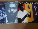 JUNIOR BYLES - BEAT DOWN BABYLON + WHEN WILL BETTER COME (2 x TROJAN LP)upsetter