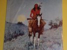 FABRIZIO DE ANDRE'. L'INDIANO. VINILE LP PRIMA STAMPA 1981 ANCORA SIGILLATO