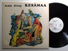 PEKKA STRENG kesamaa - rare FINLAND 1st press LOVE cult folkrock ssw psych jazz