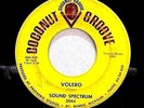 MICHIGAN GARAGE PSYCH 45-
