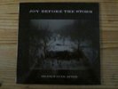Sealed Darkwave Private Electro LP JOY BEFORE THE STORM silence ever after ORIG